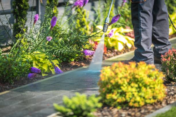 Winterizing Services in Apison, TN